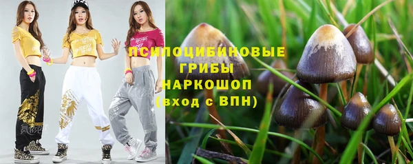 мяу мяу мука Алзамай