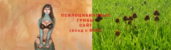 кокаин Алексеевка